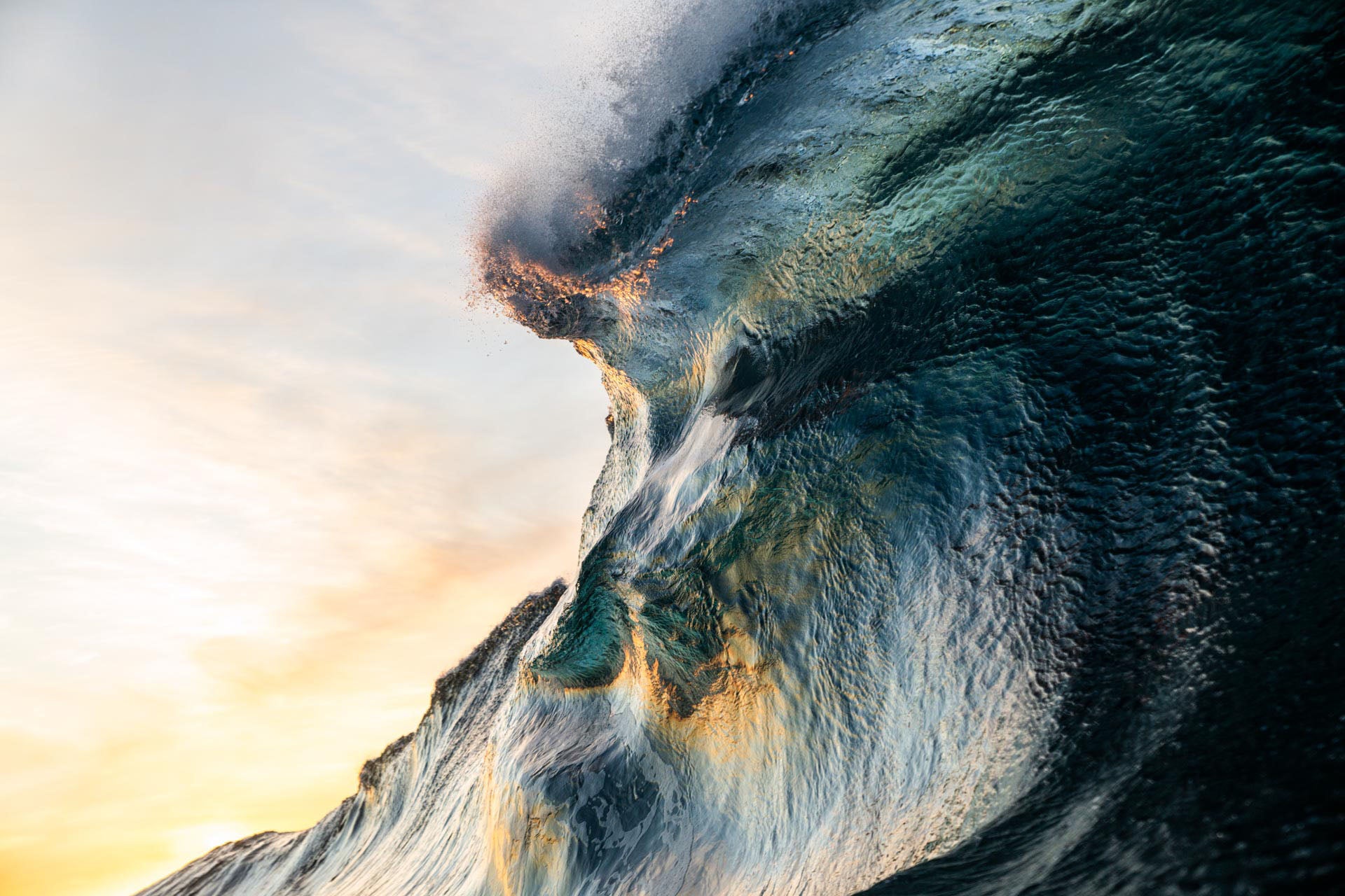 raffle entry: 36x54 Inch Print