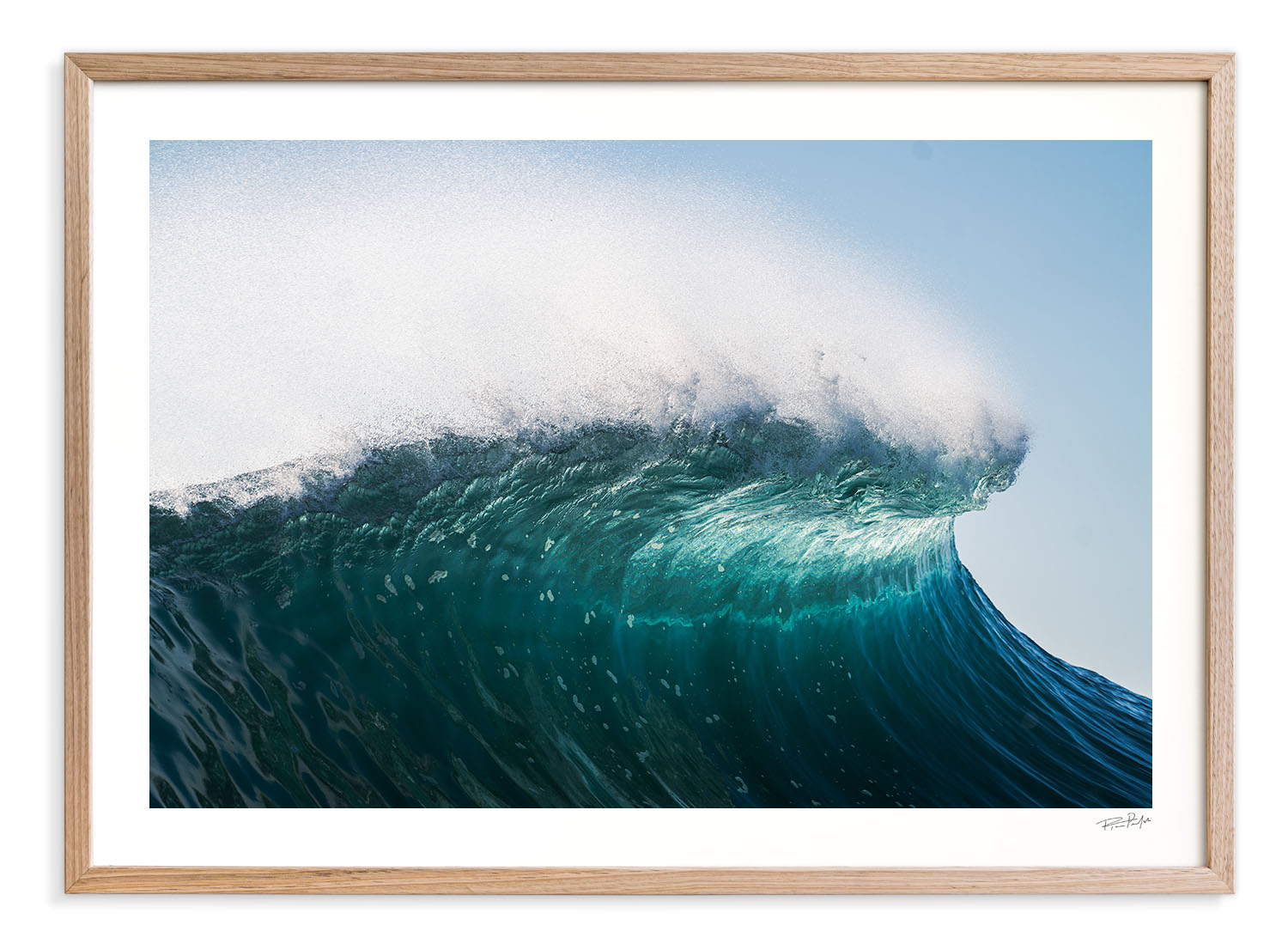 mind surf™