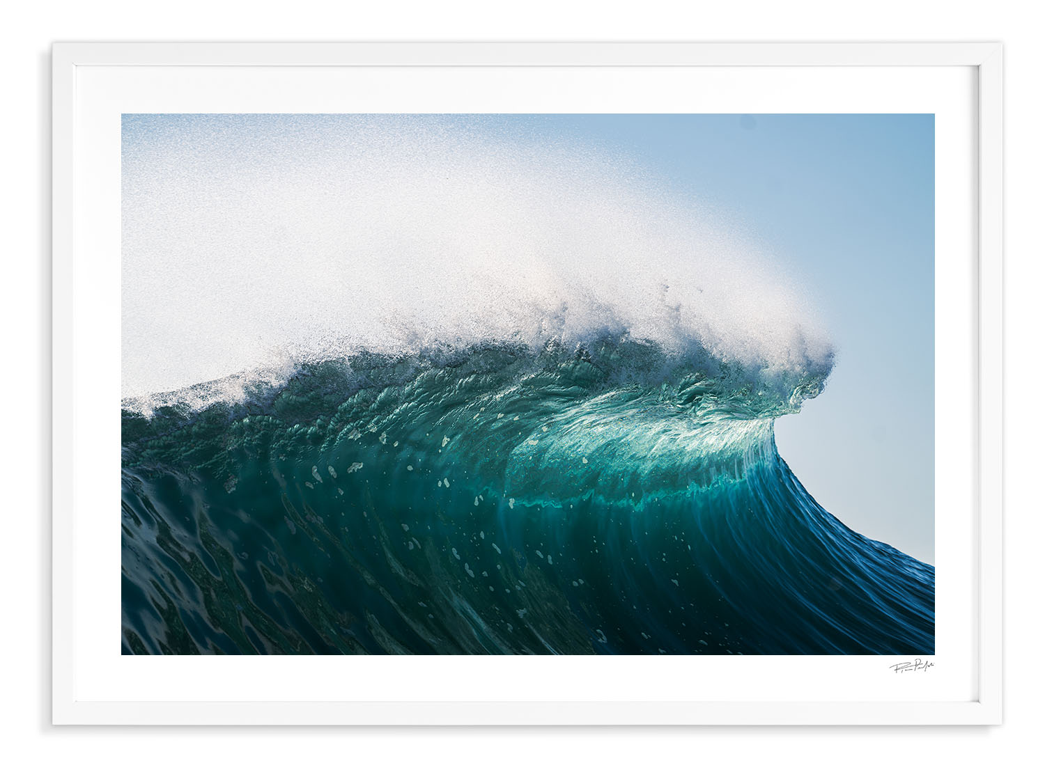 mind surf™