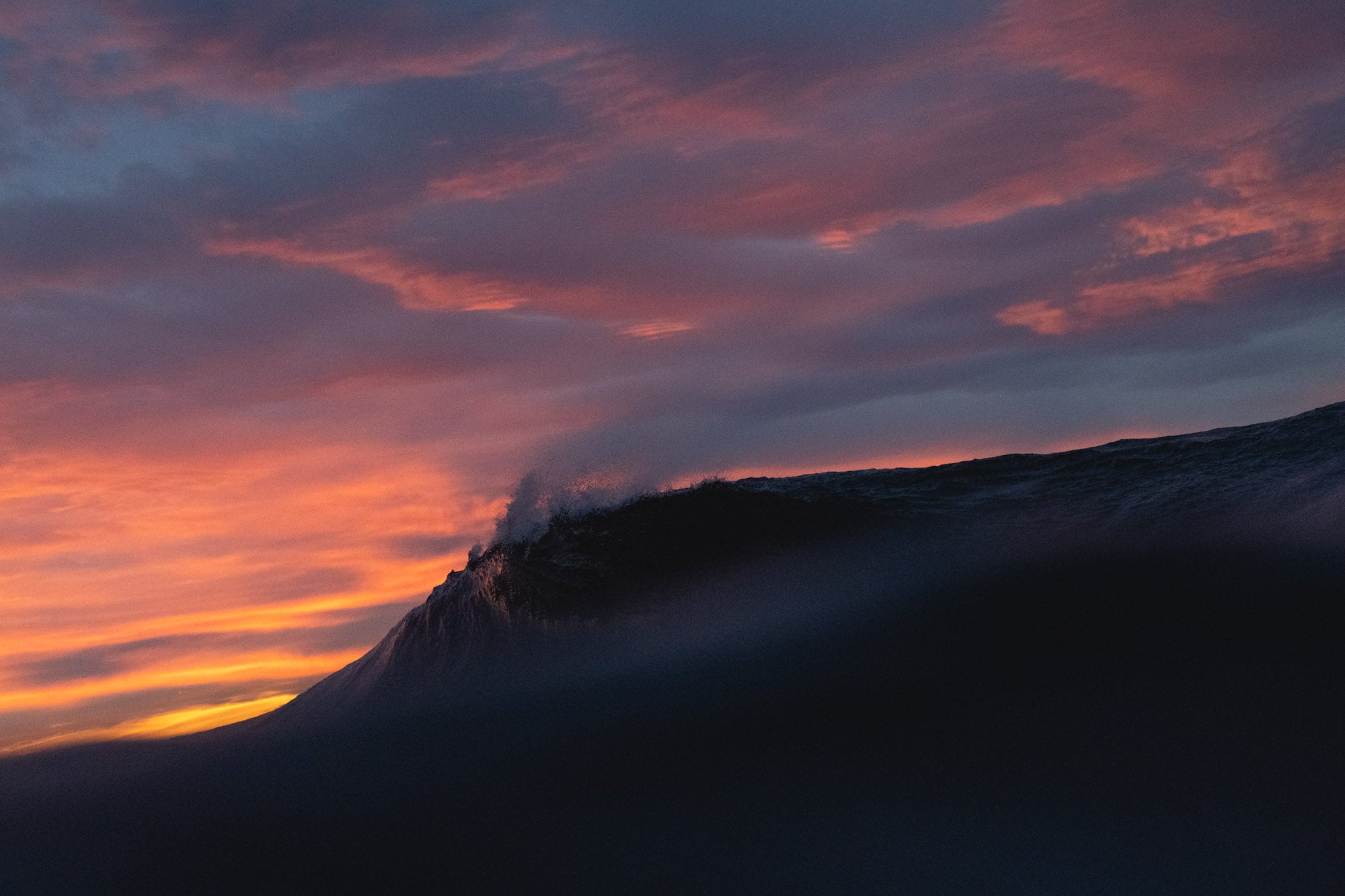 #029