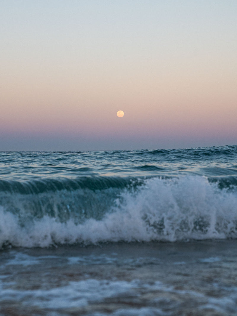 moonlight™
