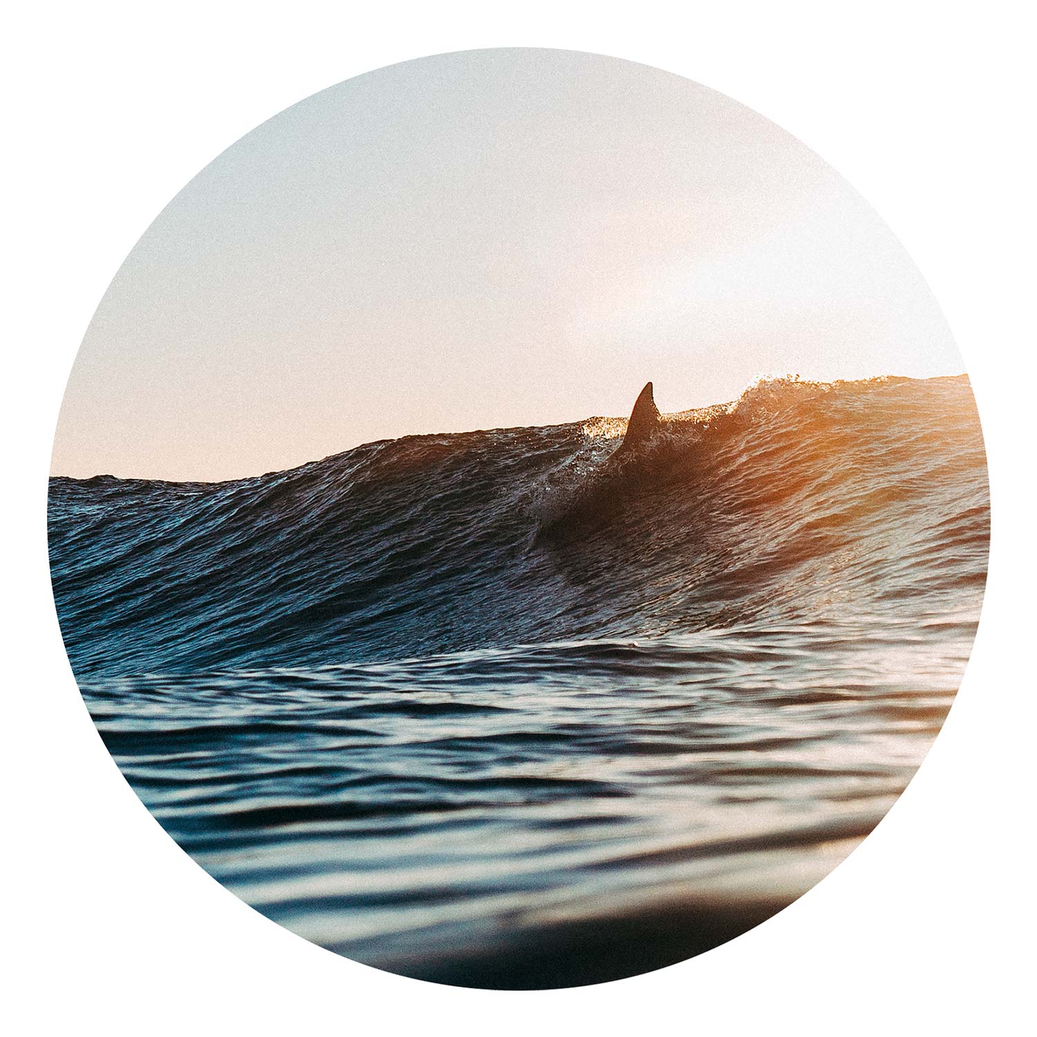 Sunday Surf — Wall Decal