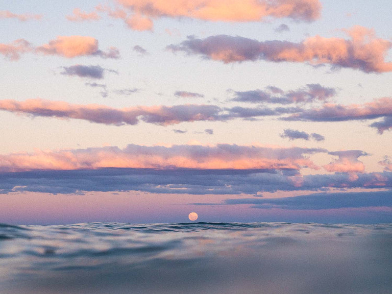 pastel dreams™